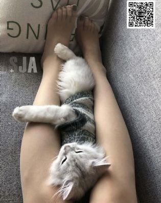 欧美禁片网址_BD英语影视在线观看