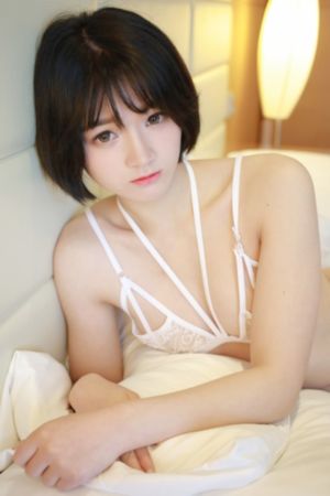 欧美车牌怎么使用_1080视频大全